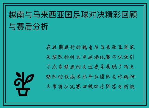 越南与马来西亚国足球对决精彩回顾与赛后分析