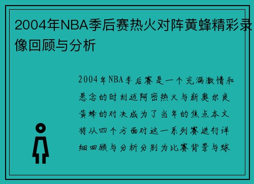 2004年NBA季后赛热火对阵黄蜂精彩录像回顾与分析